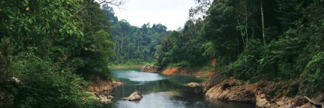 Malaysia Reisetipp Air Terjun Lasir Terengganu © Malaysia Tourism Promotion Board