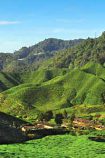 Malaysia Reiseidee Cameron Highlands © Malaysia Tourism Promotion Board