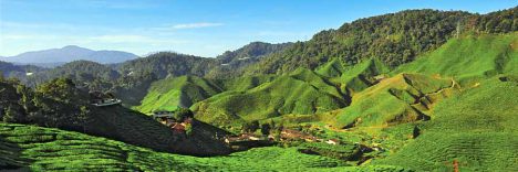 Malaysia Reiseidee Cameron Highlands © Malaysia Tourism Promotion Board